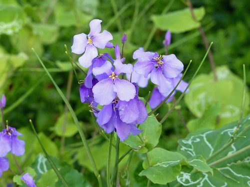 �祢�饻���ȥ�