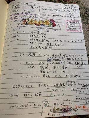 20180517 木曜
