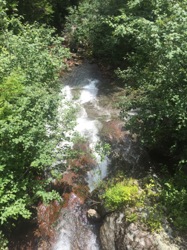 th_IMG_6437.jpg