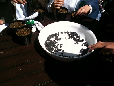 IMG_1784.jpg