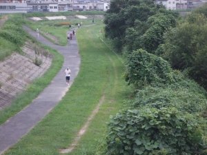 朝の天白川