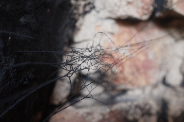 山本亮平｜yamamoto ryohei