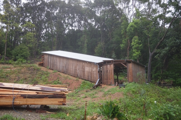 山本亮平　　作品　レア　入手困難 山本亮平 作品 レア 入手困難