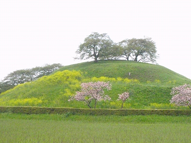 さきたま古墳 丸墓山古墳
