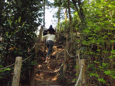 軽く登山中