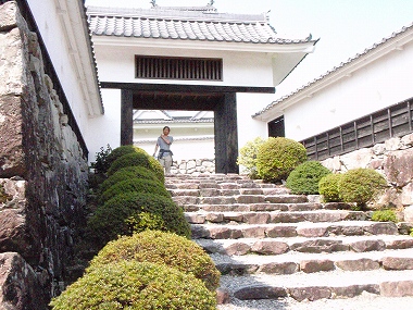 郡上八幡に登城!