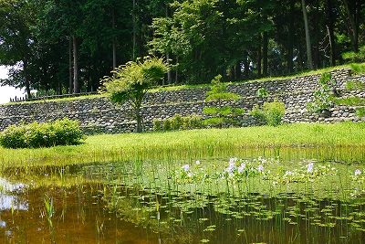 三の曲輪の池
