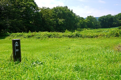 馬出