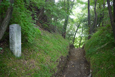 金山城