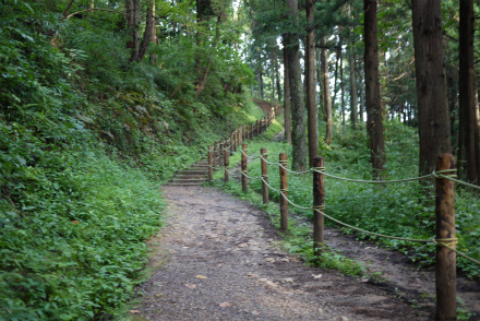 登山道