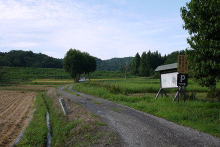 春日山城 大手道