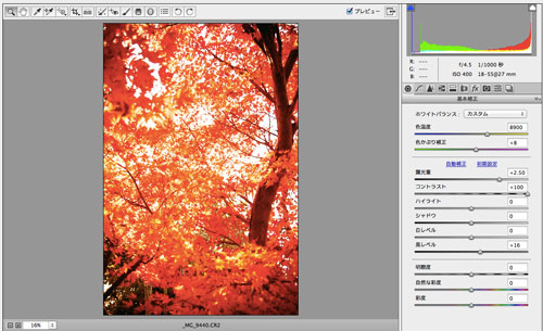 PHOTOSHOP