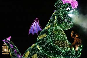 ディズニー、パレード、撮影