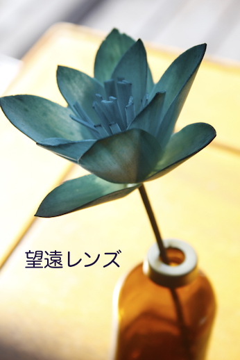 レンズ、初心者