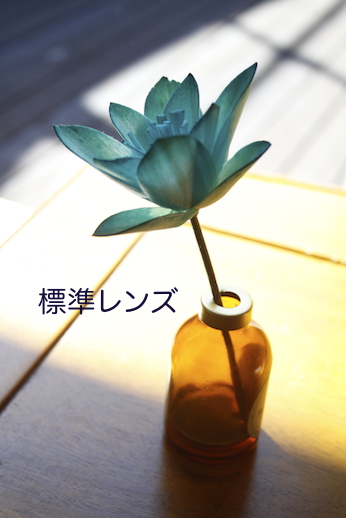 レンズ、 初心者