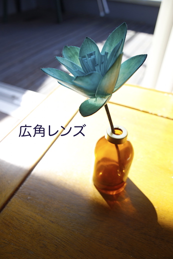 レンズ、一眼