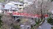 あの「渡猿橋」を渡る