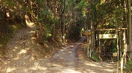 林道(中央)の左が登山道
