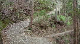 正しいルートは右の細い山道へ…