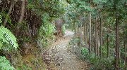 延々と急坂の登り道が…
