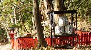 似てる…んじゃなくて、同じものだよ