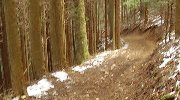 水尾の里へ…