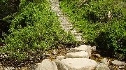 川を渡って…