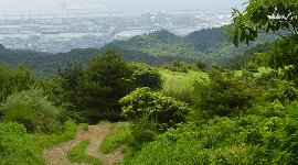 草原を下る