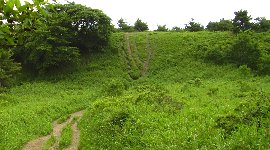 気持ちいい草原だ