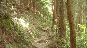 涼しい山腹道を登る