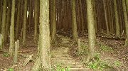 直登の階段だ