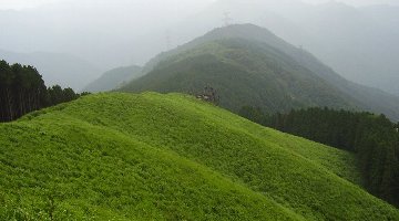 秋には一面の銀穂に…