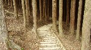 下りでも汗が…