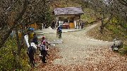 やっと馬の背に…