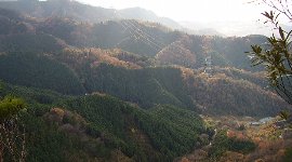 まだ11月みたい…