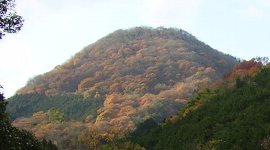 綺麗なぁ…