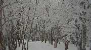 樹氷のトンネルを…
