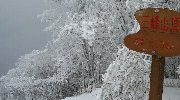 山頂到着!