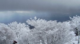 曇り空でも…