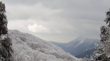 あっちも綺麗だろうね