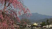 愛宕山