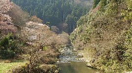 清滝川