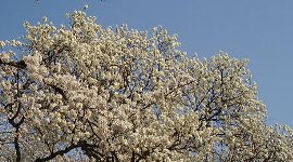 快晴でよかった! (^o^)丿