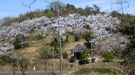 疲れた〜〜 (>_<)