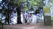 山頂も近いよ