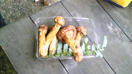 これはすき焼き用に…