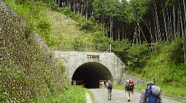 トンネル右手に登山口が…