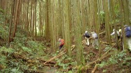 山中は涼しくてバテずにすみました