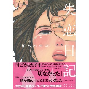 失恋日記 (Feelコミックス).jpg