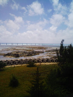 200908071136.jpg